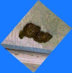 thumbnail of cCWeYYNd0R34Ccy1f.jpg