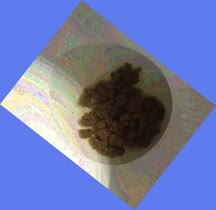 thumbnail of wWin7WuT.jpg