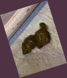 thumbnail of NIf8rCAog.jpg