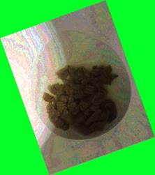 thumbnail of FzeaNqCSYVCNQov1NN.jpg