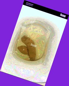 thumbnail of oA28HumhQiR.jpg