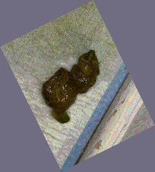 thumbnail of p4D4FPc.jpg