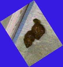 thumbnail of xSrAeUg.jpg