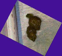 thumbnail of V0avWAfedHFG.jpg