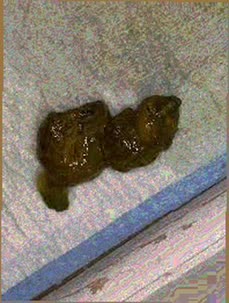 thumbnail of VG1Wxdyyf8.jpg