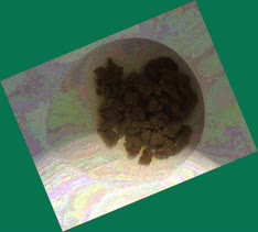 thumbnail of et4ONMX3xzwWgnGZHd4L.jpg
