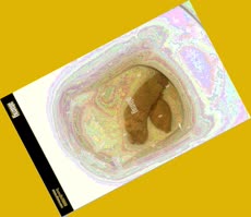 thumbnail of vQH3XE2HvAHjFPSN3IE.jpg