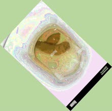 thumbnail of UFP9htCdvse12altBV.jpg