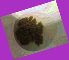 thumbnail of n0a6NULVykdE6.jpg