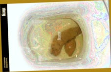 thumbnail of RoknfmA5nDug2Nwhes.jpg