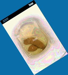 thumbnail of u4dF47AL0BZT64q.jpg