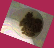 thumbnail of 84av8STQTBF5IJLJ.jpg