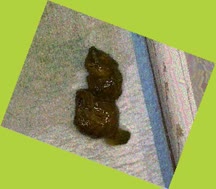 thumbnail of oNBENIsBVAUaU7IH.jpg