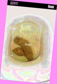 thumbnail of VWUEWmwF2xTYIvM.jpg