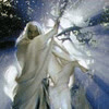 thumbnail of 7.gif