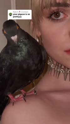 thumbnail of Snaptik.app_7457252299900013867.mp4