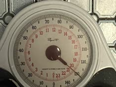 thumbnail of IMG_3238.jpg