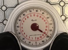 thumbnail of IMG_3245.jpg