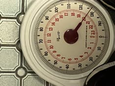 thumbnail of IMG_3260.jpg