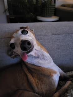 thumbnail of oooh.jpg