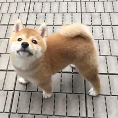 thumbnail of images.jpeg