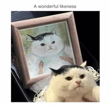 thumbnail of likeness.jpg