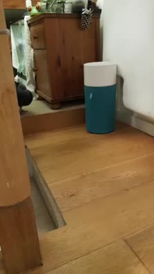 thumbnail of Snaptik.app_7457212056631020833.mp4