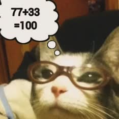 thumbnail of 1736489401485120m.jpg