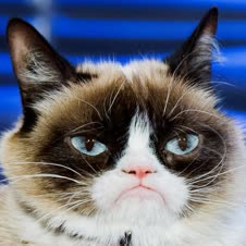 thumbnail of grumpy.jpg