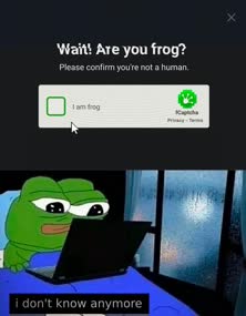 thumbnail of are-you-frog-v0-5aiv1t349wcd1.jpeg