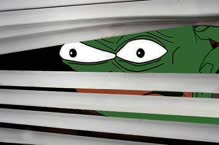 thumbnail of paranoid-frog.jpg