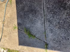 thumbnail of IMG_3256.jpg