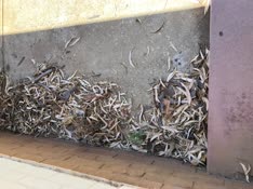 thumbnail of IMG_3257.jpg